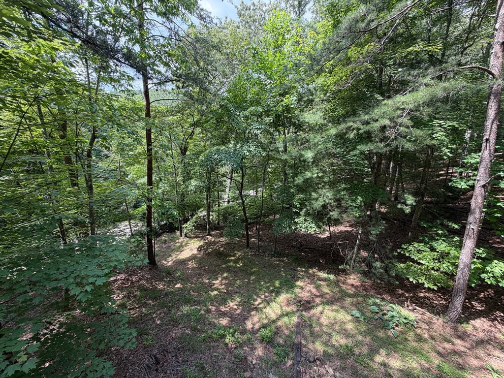 1253 Tipton Springs Road, Morganton GA 30560 - Photo