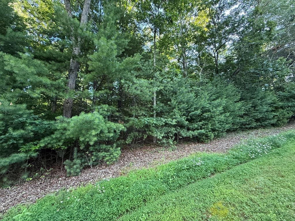 LOT 65 Lennox Point, Blairsville GA 30512 - Photo