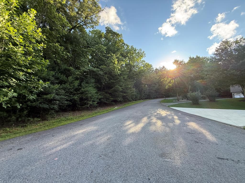 LOT 65 Lennox Point, Blairsville GA 30512 - Photo