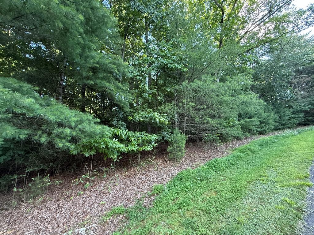 LOT 65 Lennox Point, Blairsville GA 30512 - Photo
