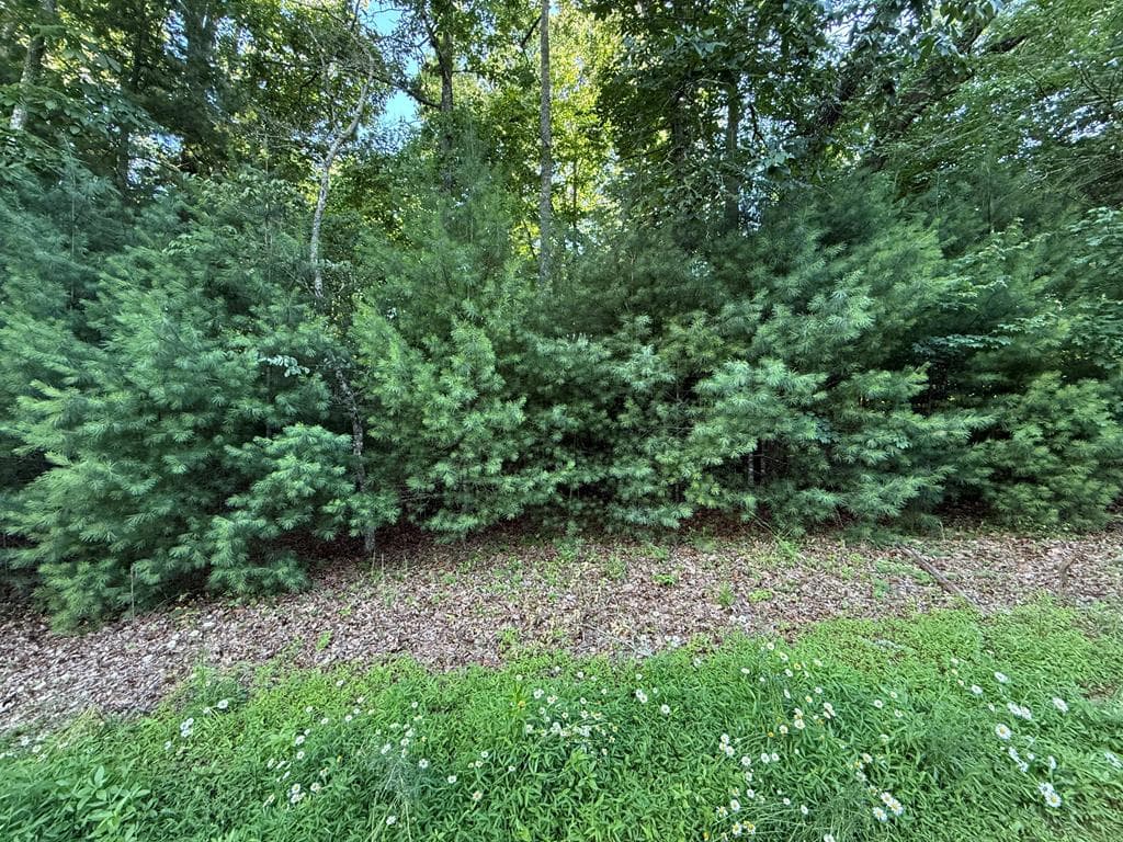 LOT 65 Lennox Point, Blairsville GA 30512 - Primary photo