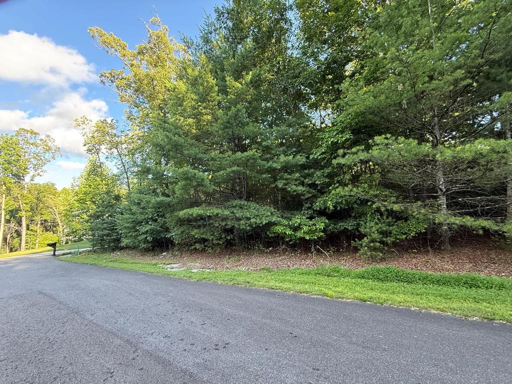 LOT 65 Lennox Point, Blairsville GA 30512 - Photo