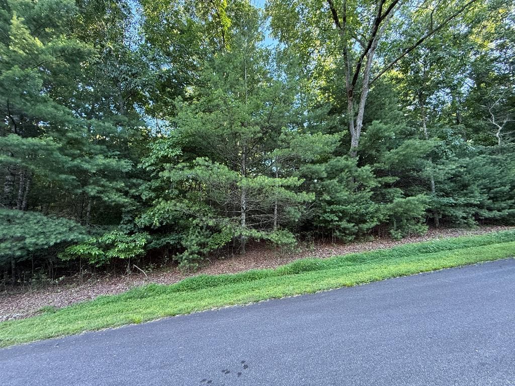 LOT 65 Lennox Point, Blairsville GA 30512 - Photo