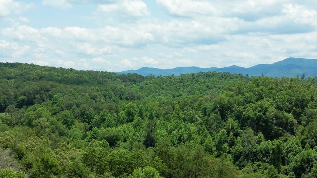 155 Acre Hemlock Ridge Subd, Turtletown TN 37391 - Photo