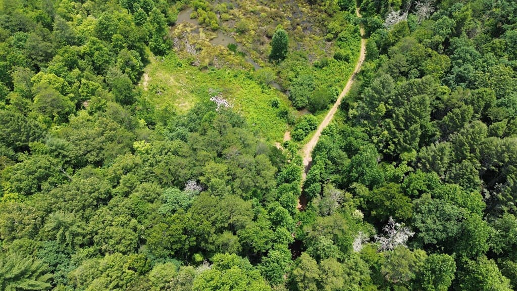 155 Acre Hemlock Ridge Subd, Turtletown TN 37391 - Photo