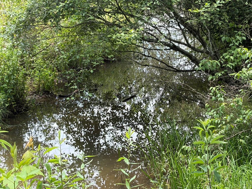 155 Acre Hemlock Ridge Subd, Turtletown TN 37391 - Photo