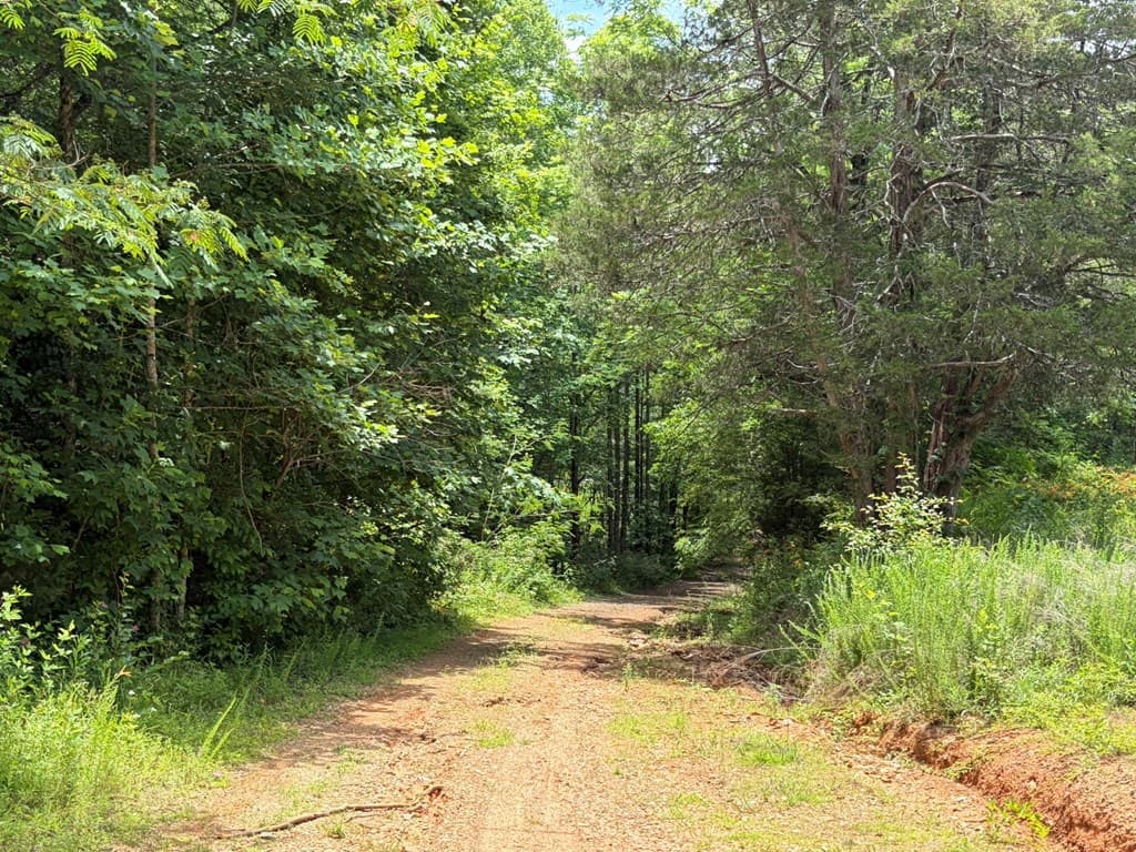 155 Acre Hemlock Ridge Subd, Turtletown TN 37391 - Photo