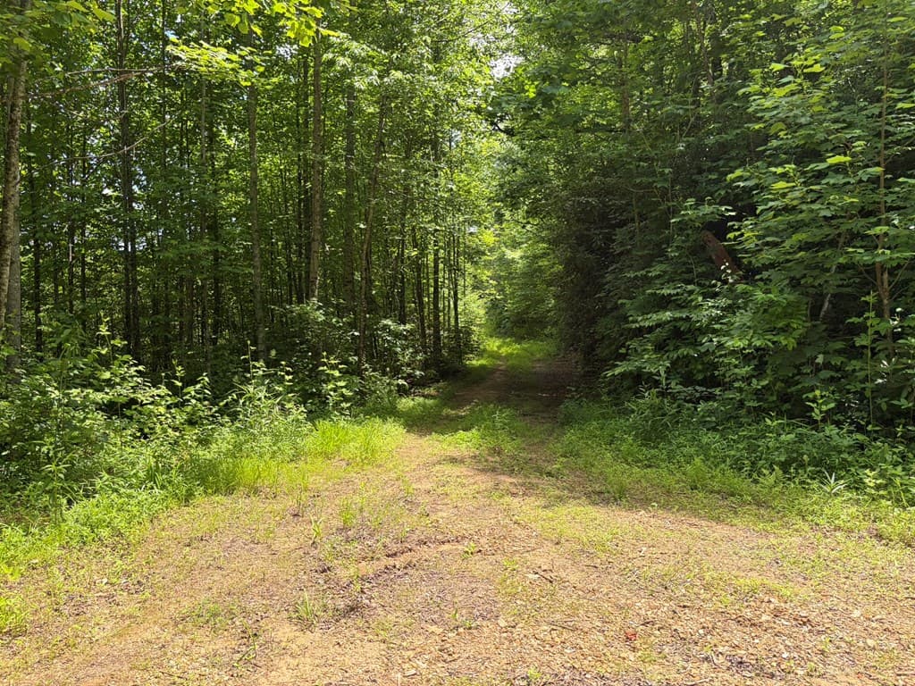 155 Acre Hemlock Ridge Subd, Turtletown TN 37391 - Photo