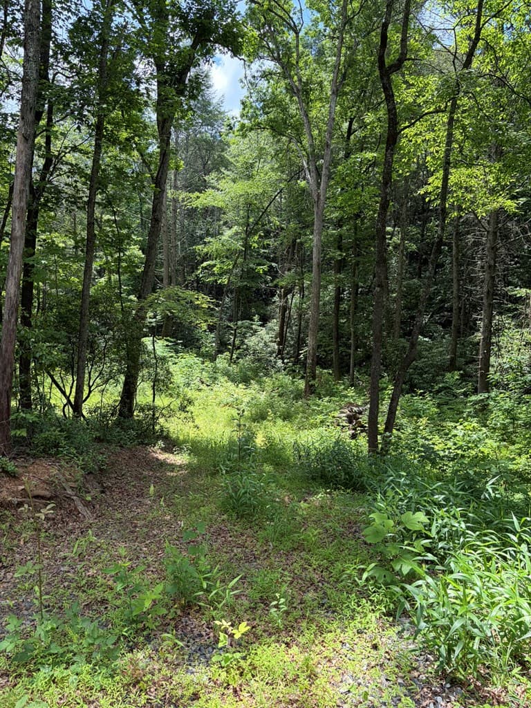 155 Acre Hemlock Ridge Subd, Turtletown TN 37391 - Photo