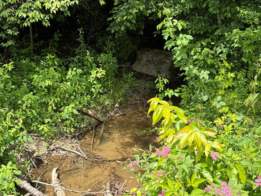 155 Acre Hemlock Ridge Subd, Turtletown TN 37391 - Photo