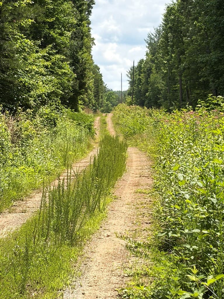 155 Acre Hemlock Ridge Subd, Turtletown TN 37391 - Photo