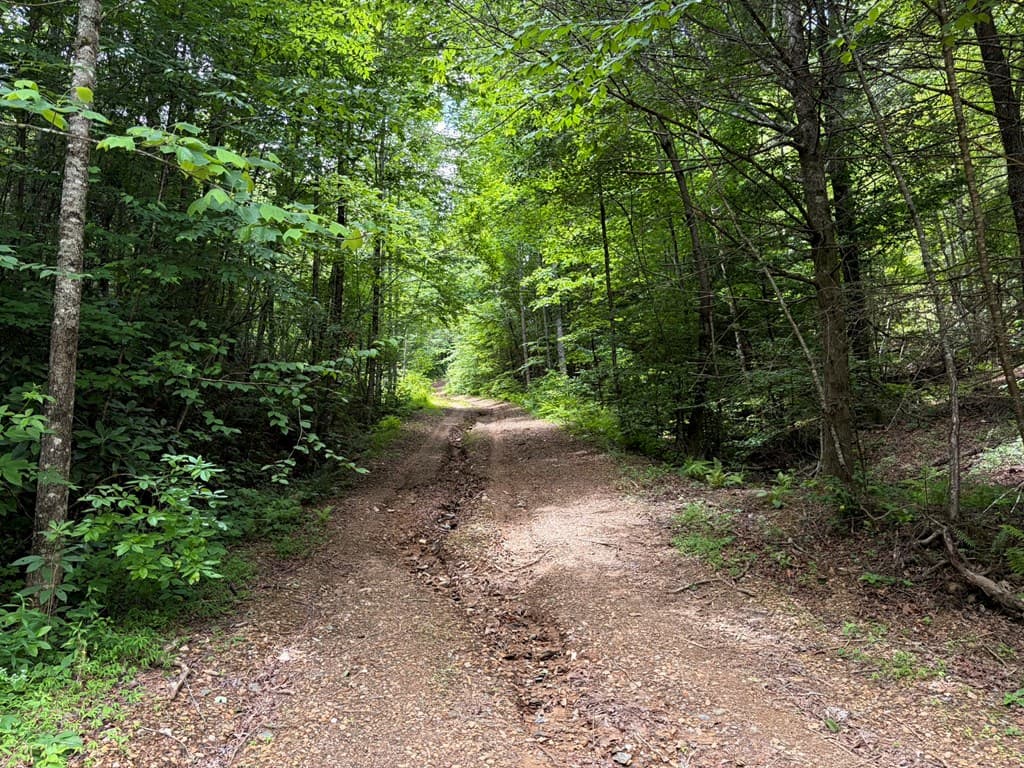 155 Acre Hemlock Ridge Subd, Turtletown TN 37391 - Photo
