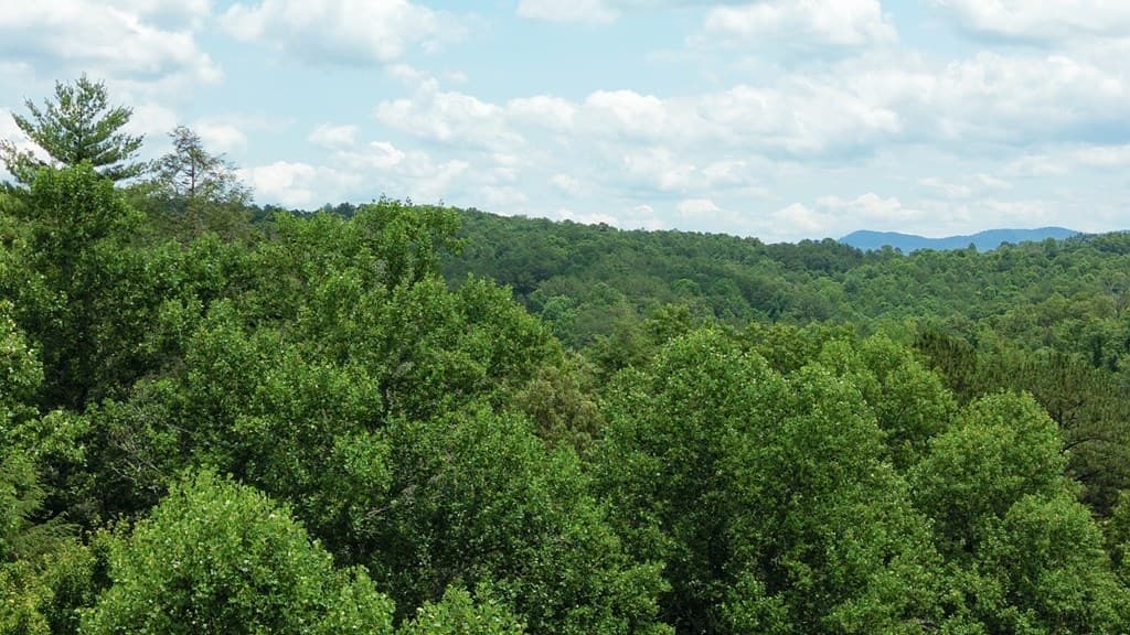 155 Acre Hemlock Ridge Subd, Turtletown TN 37391 - Photo