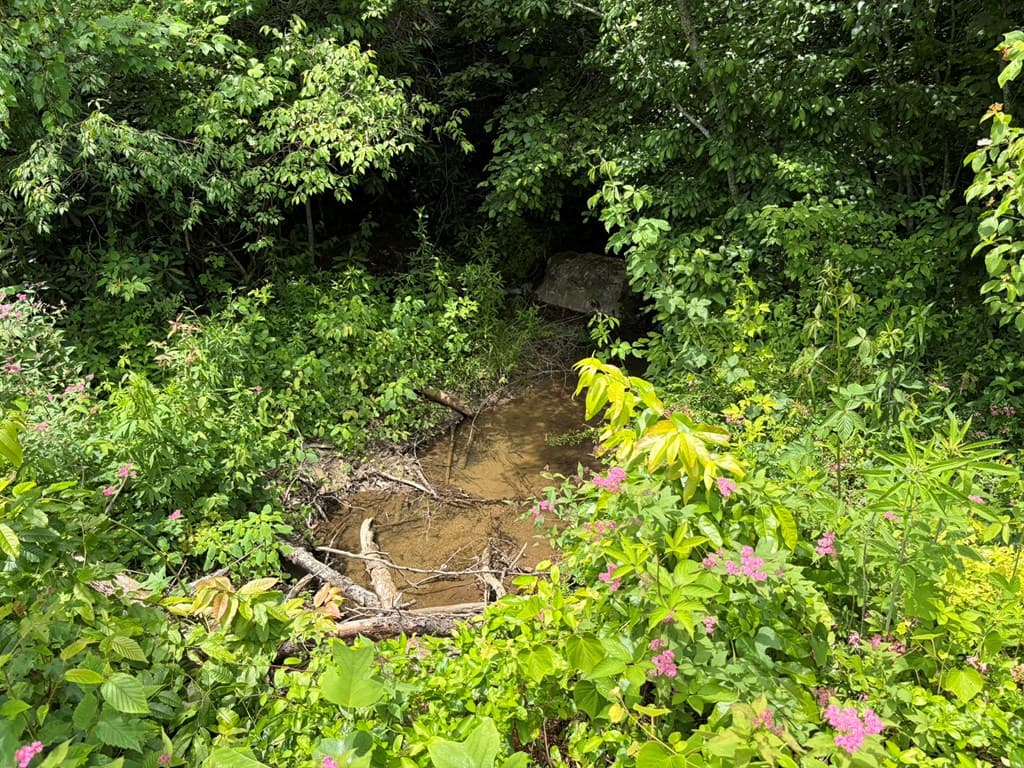 155 Acre Hemlock Ridge Subd, Turtletown TN 37391 - Photo