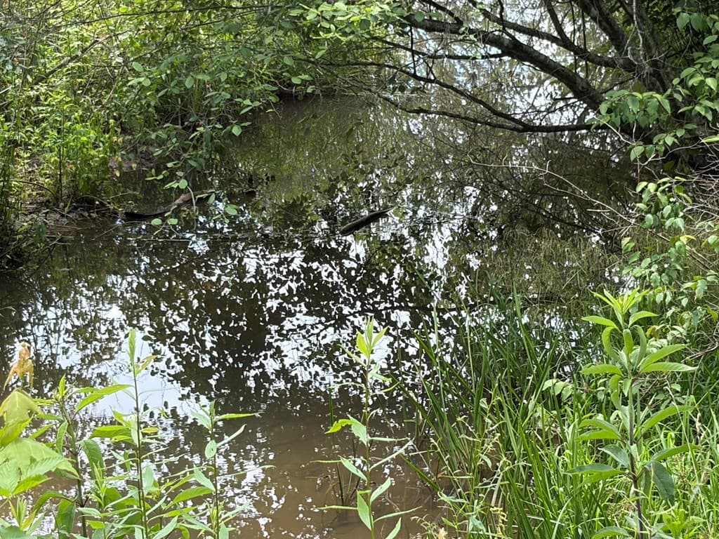 155 Acre Hemlock Ridge Subd, Turtletown TN 37391 - Photo