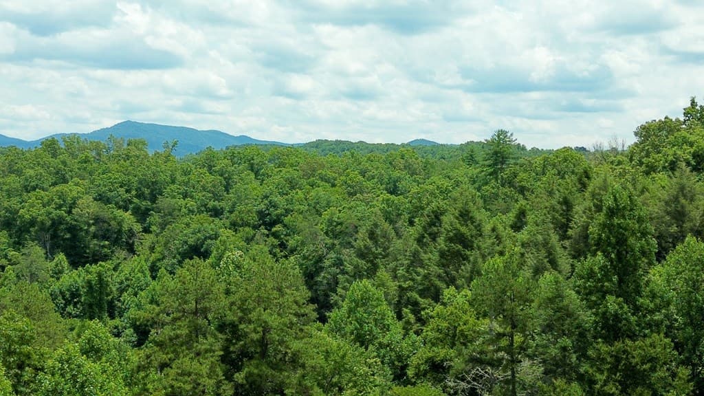 155 Acre Hemlock Ridge Subd, Turtletown TN 37391 - Photo