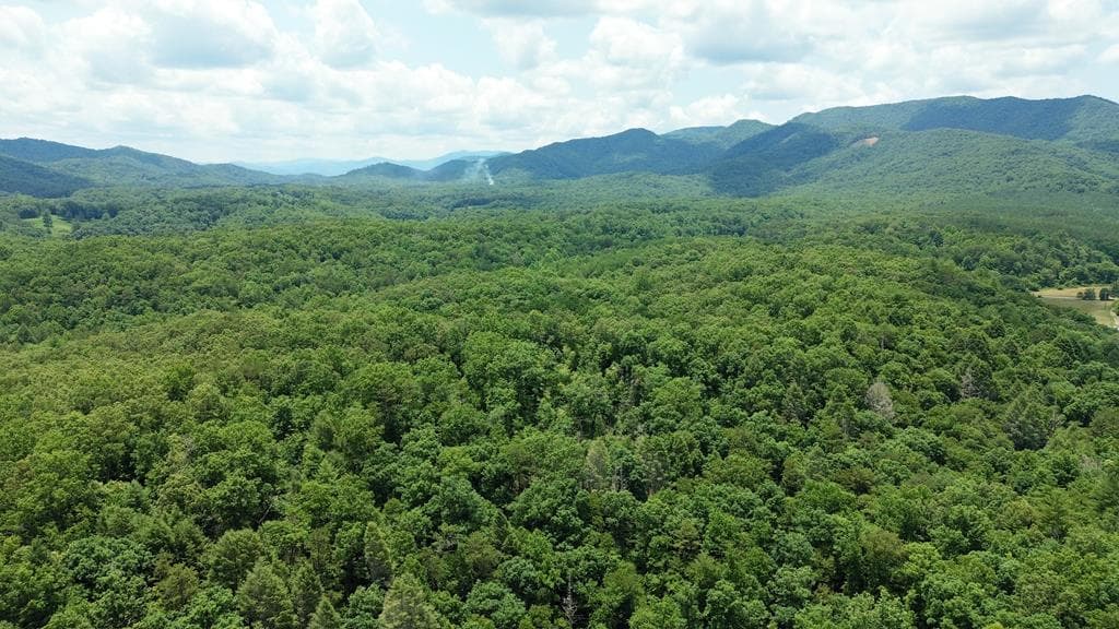 155 Acre Hemlock Ridge Subd, Turtletown TN 37391 - Primary photo