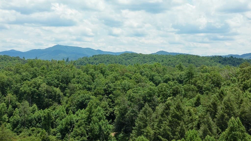 155 Acre Hemlock Ridge Subd, Turtletown TN 37391 - Photo