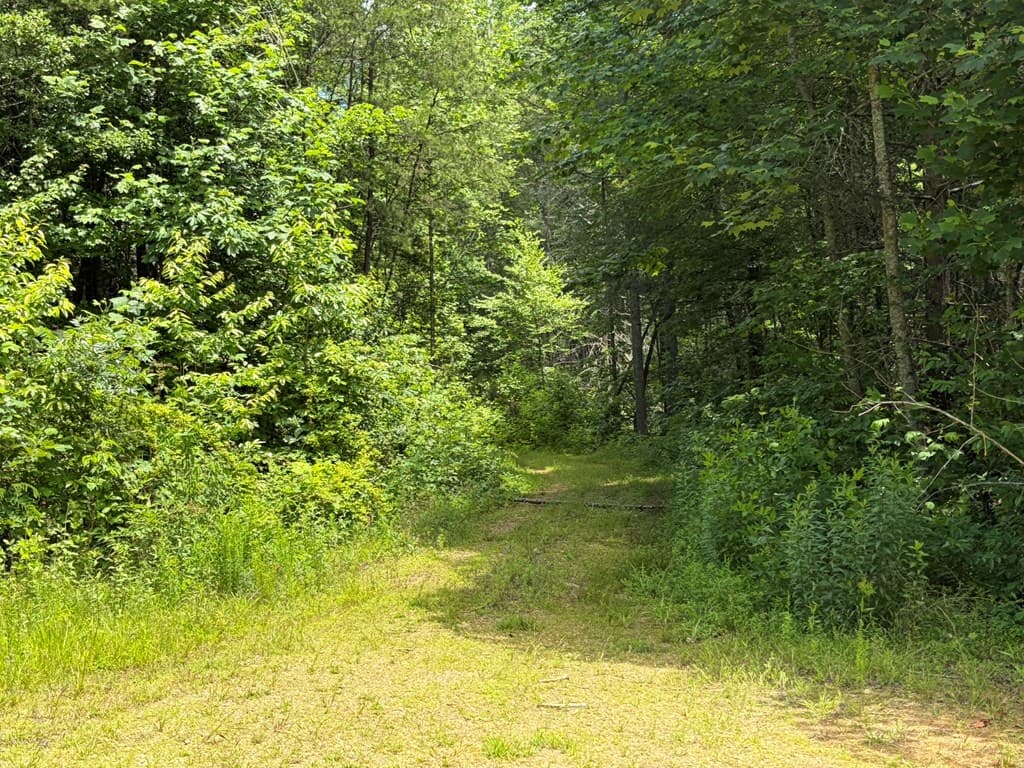 155 Acre Hemlock Ridge Subd, Turtletown TN 37391 - Photo