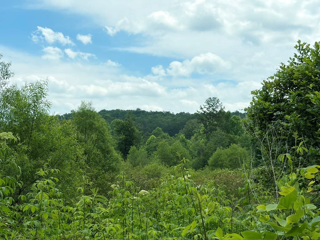 155 Acre Hemlock Ridge Subd, Turtletown TN 37391 - Photo