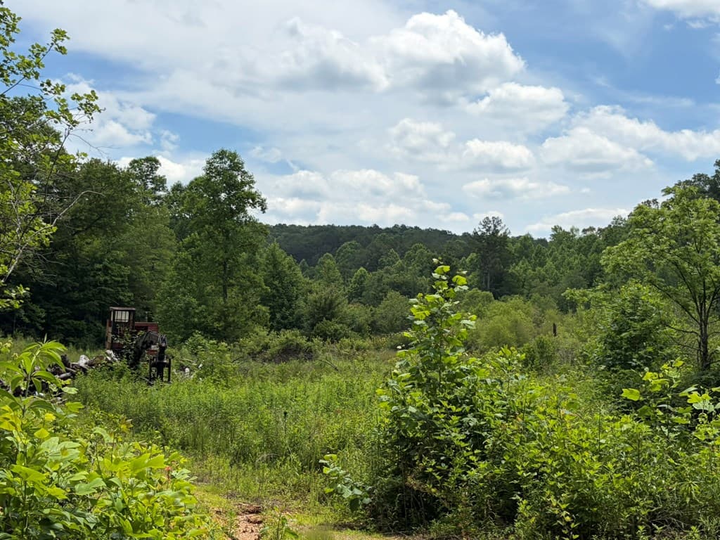 155 Acre Hemlock Ridge Subd, Turtletown TN 37391 - Photo