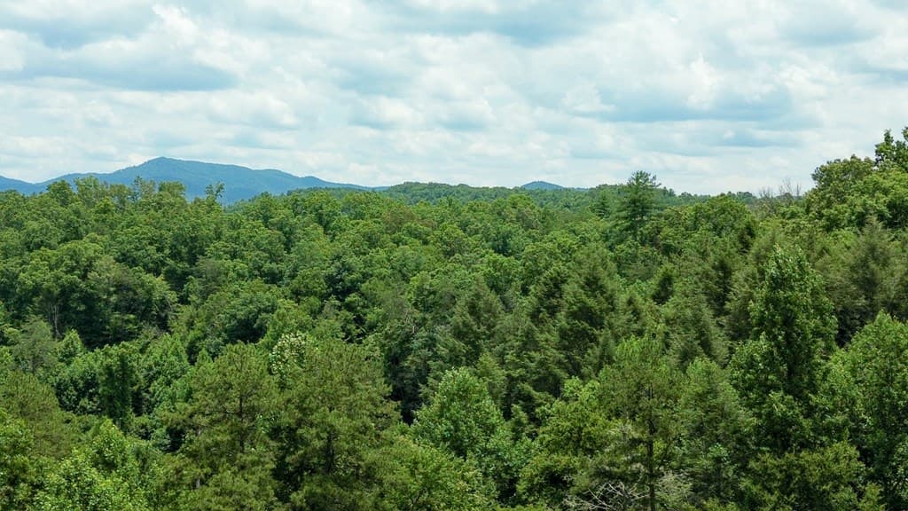 155 Acre Hemlock Ridge Subd, Turtletown TN 37391 - Photo