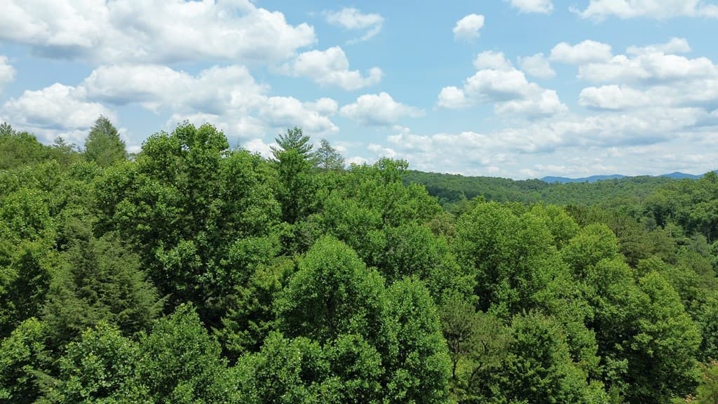 155 Acre Hemlock Ridge Subd, Turtletown TN 37391 - Photo
