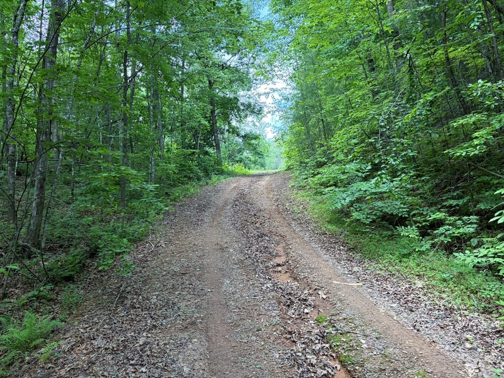 155 Acre Hemlock Ridge Subd, Turtletown TN 37391 - Photo