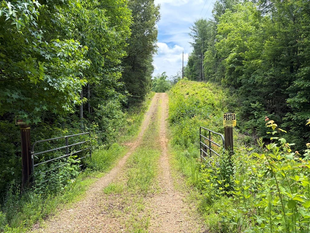 155 Acre Hemlock Ridge Subd, Turtletown TN 37391 - Photo