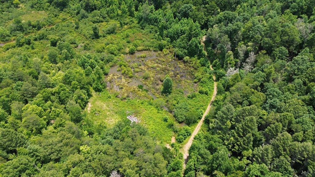 155 Acre Hemlock Ridge Subd, Turtletown TN 37391 - Photo