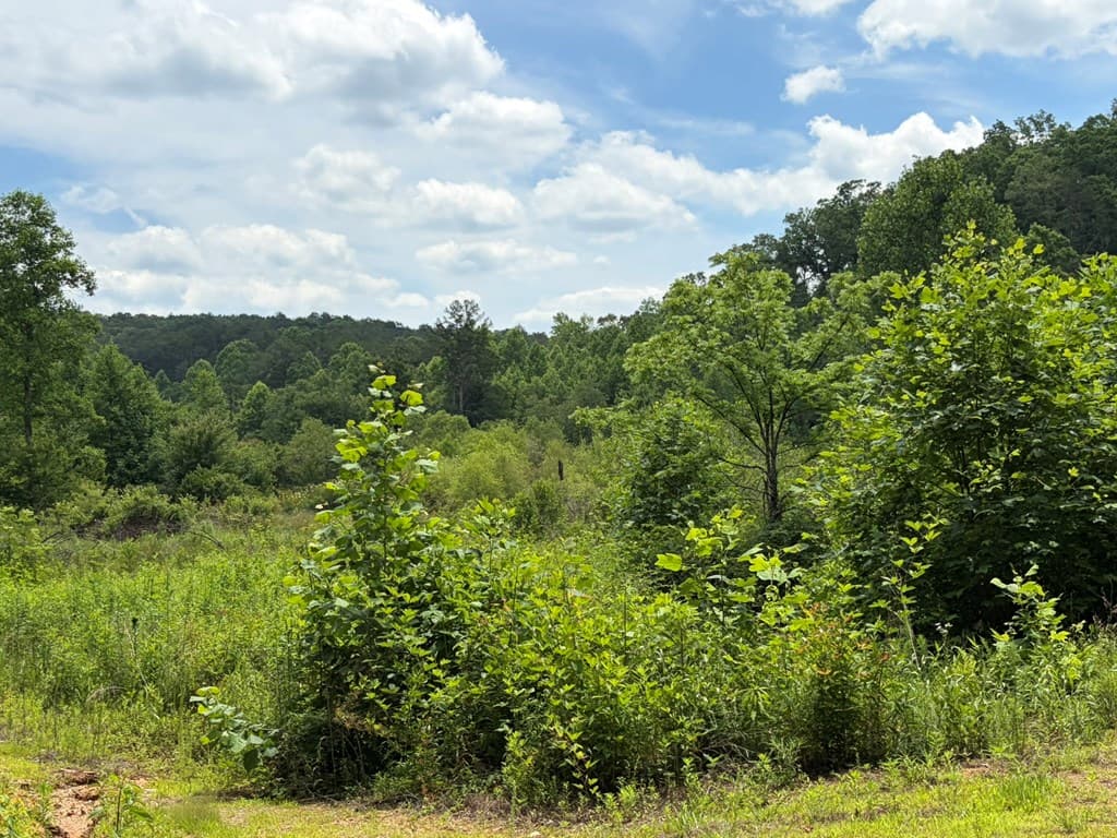 155 Acre Hemlock Ridge Subd, Turtletown TN 37391 - Photo