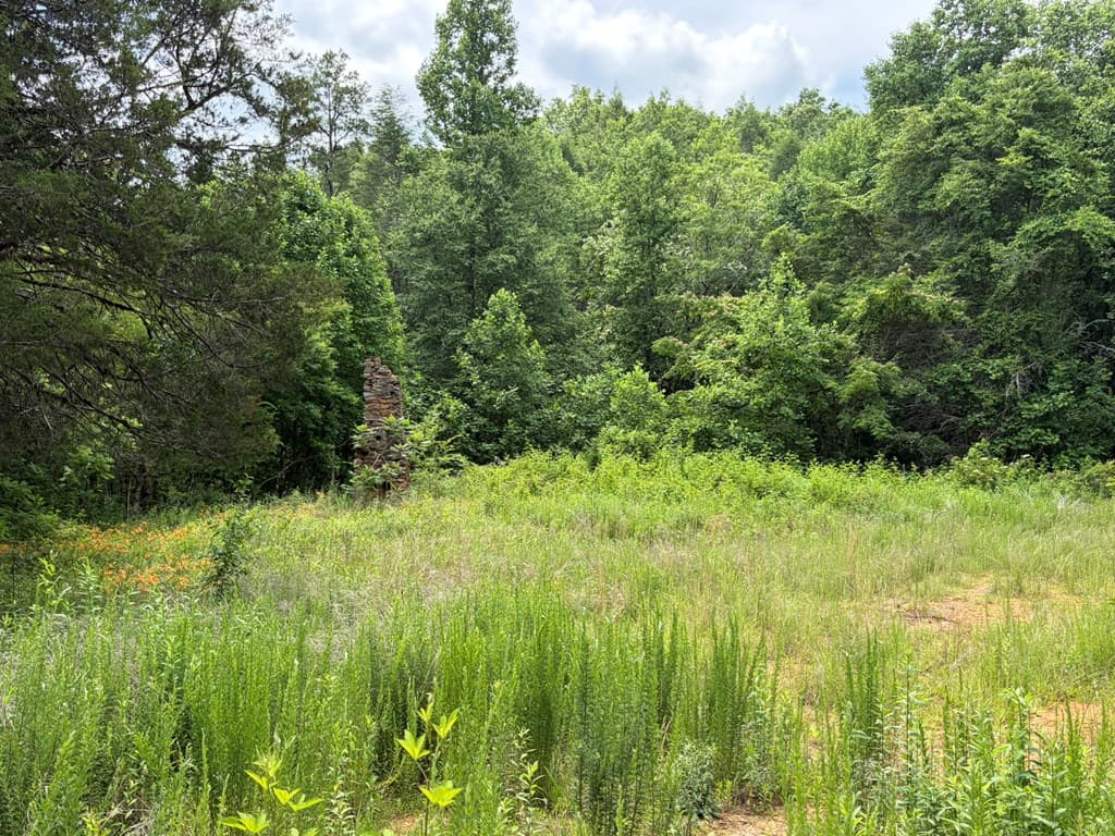 155 Acre Hemlock Ridge Subd, Turtletown TN 37391 - Photo