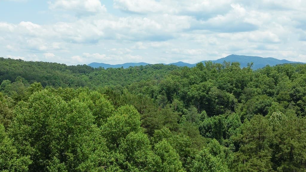 155 Acre Hemlock Ridge Subd, Turtletown TN 37391 - Photo