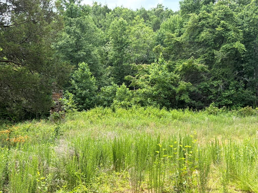 155 Acre Hemlock Ridge Subd, Turtletown TN 37391 - Photo