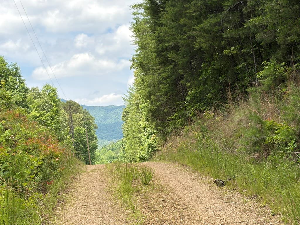 155 Acre Hemlock Ridge Subd, Turtletown TN 37391 - Photo