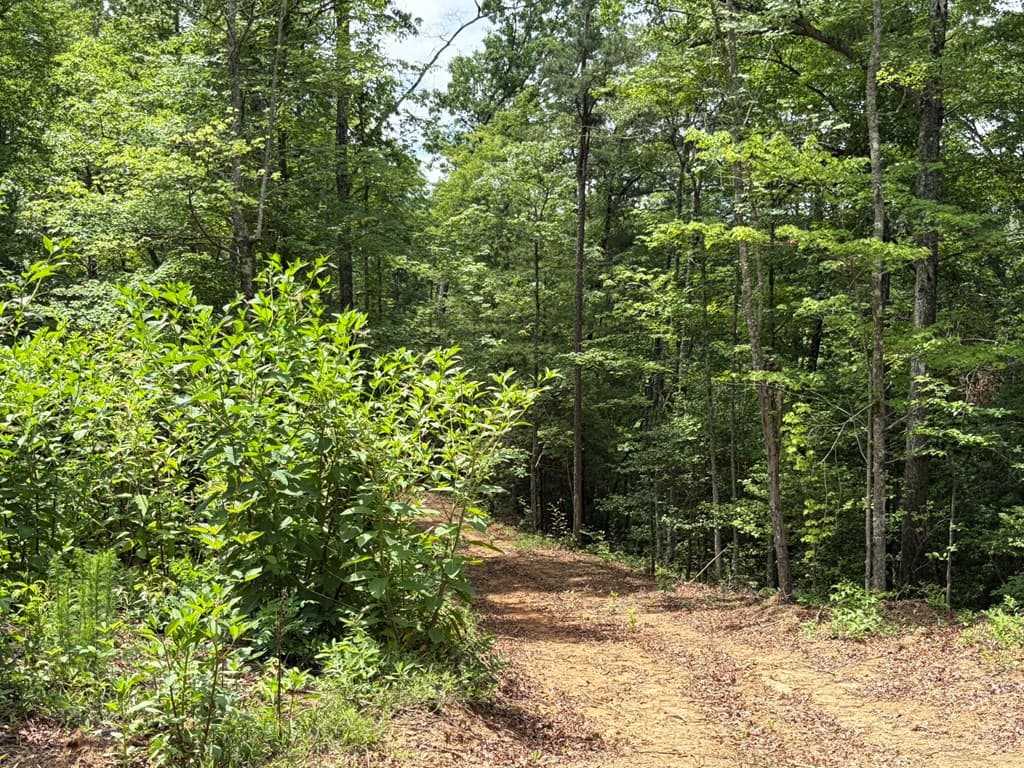 155 Acre Hemlock Ridge Subd, Turtletown TN 37391 - Photo