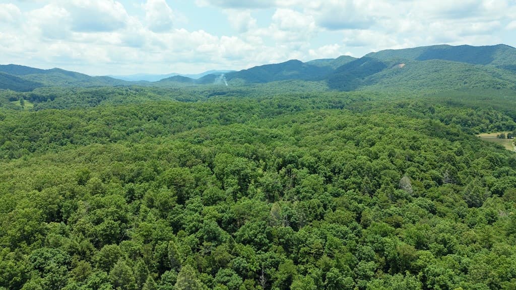 155 Acre Hemlock Ridge Subd, Turtletown TN 37391 - Photo