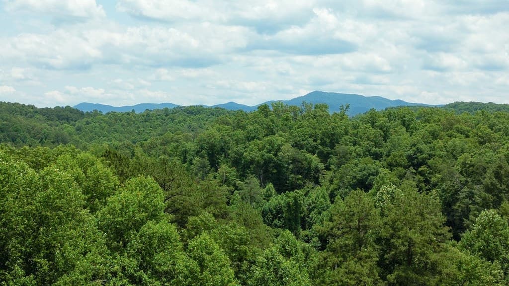 155 Acre Hemlock Ridge Subd, Turtletown TN 37391 - Photo