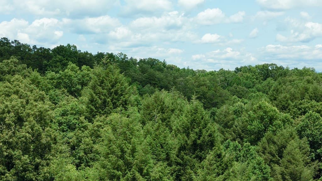 155 Acre Hemlock Ridge Subd, Turtletown TN 37391 - Photo