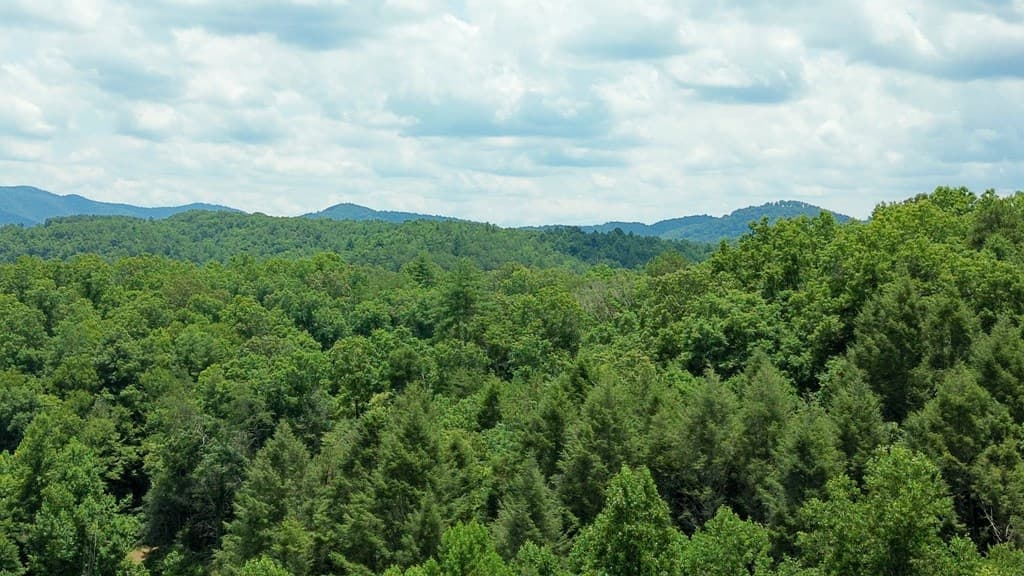 155 Acre Hemlock Ridge Subd, Turtletown TN 37391 - Photo
