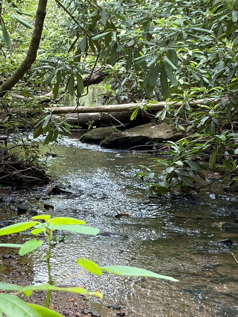 155 Acre Hemlock Ridge Subd, Turtletown TN 37391 - Photo