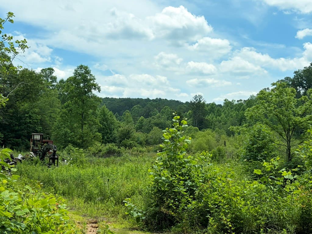 155 Acre Hemlock Ridge Subd, Turtletown TN 37391 - Photo