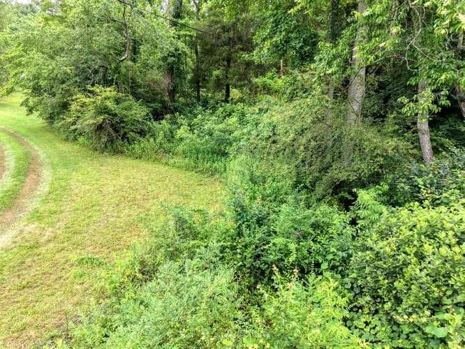 200 Gold Leaf Lane, Murphy NC 28906 - Photo