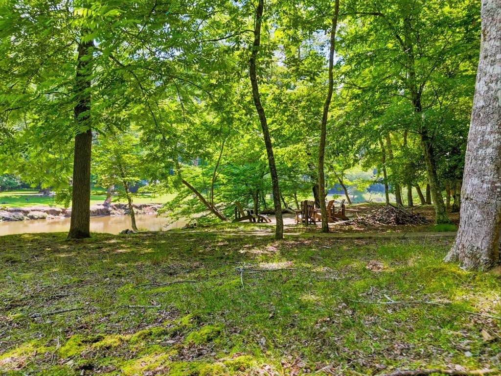 5 W Muller Lane, East Ellijay GA 30540 - Photo
