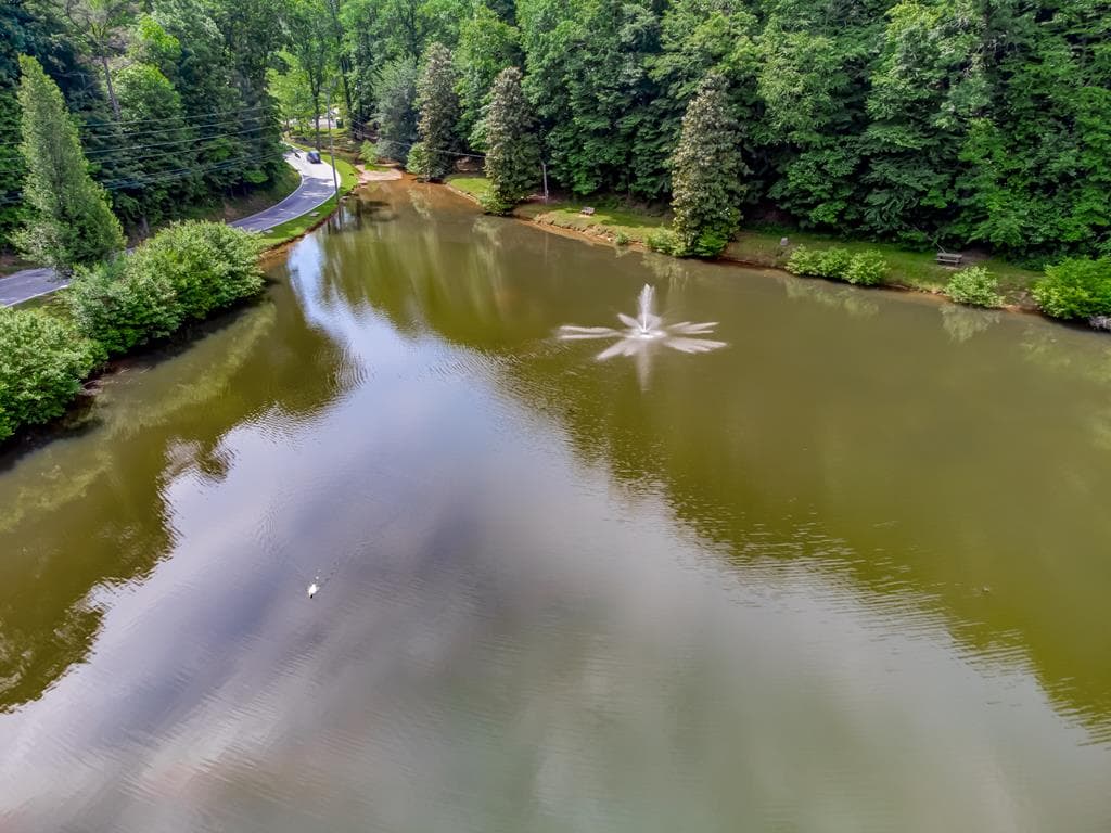 5 W Muller Lane, East Ellijay GA 30540 - Photo