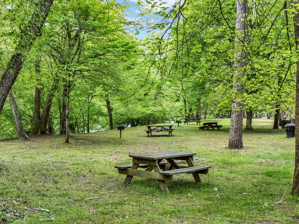 5 W Muller Lane, East Ellijay GA 30540 - Photo