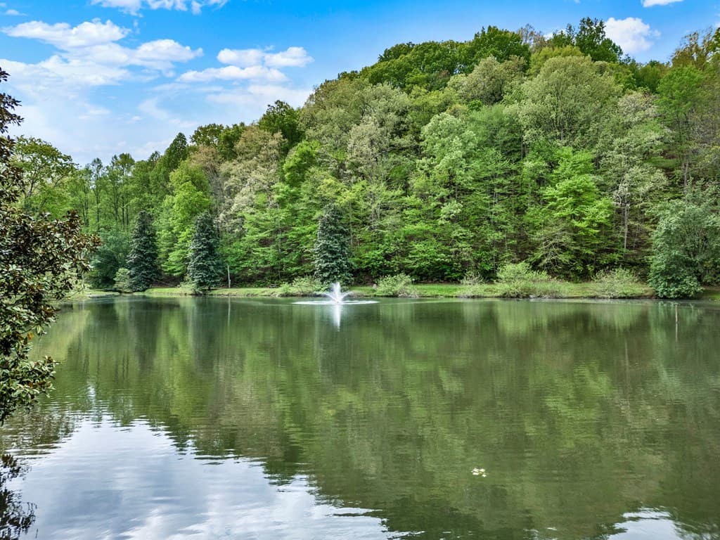 L2696 Palisade Drive, Ellijay GA 30540 - Photo