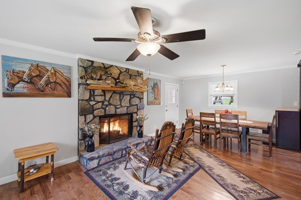 2982 W Hwy 382w, Ellijay GA 30734 - Photo