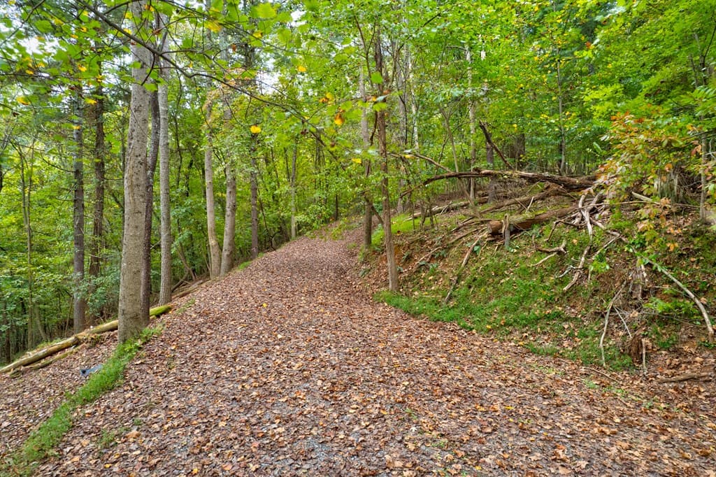 99&102R Ponca Court, Ellijay GA 30540 - Photo