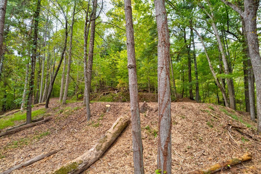 99&102R Ponca Court, Ellijay GA 30540 - Photo